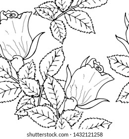 Floral vector seamless pattern with black line flower. Printable seamless coloring book pages. Coloring sheets. Botanical design of wedding invitation, postcards, posters, templates, bridal card.