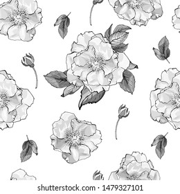 Floral vector seamless pattern with flowers roses and leaves on white background. Black and white. Monochrome background for fashion, textile, wallpapers, greetings, web pages.