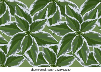 Floral vector seamless pattern with hosta. For fabric, home and kitchen textile, wrapping paper, wallpaper design.  Isolated green and white leaves on a green background.