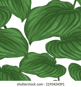 Floral vector seamless pattern with many large exotic leaves on white background. Tropical forest. Fashion textile print design layout. Beautiful hand drawn decorative composition. Big bush. Garden.