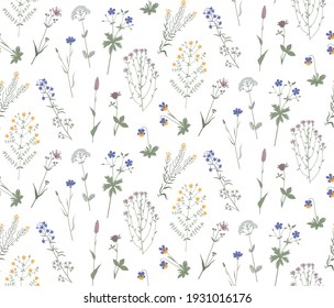 Floral vector seamless pattern with meadow wild flowers, plants and herbs. Hand drawn illustration isolated on white background. For wrapping, fabric, wallpaper.