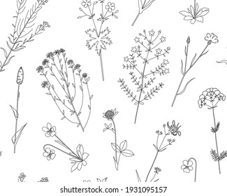 Floral vector seamless pattern with meadow wild flowers, plants and herbs. Hand drawn illustration isolated on white background. For wrapping, fabric, wallpaper.