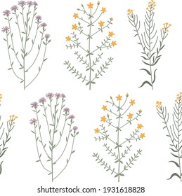 Floral vector seamless pattern with meadow wild flowers, plants and herbs. Hand drawn illustration isolated on white background. For wrapping, fabric, wallpaper.