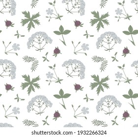 Floral vector seamless pattern with meadow wild flowers, plants and herbs. Hand drawn illustration isolated on white background. For wrapping, fabric, wallpaper.