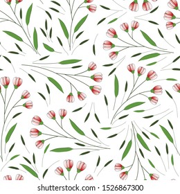 Floral vector seamless pattern. Pink flowers on the white background.