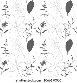 
Floral vector seamless pattern with wild flowers, chestnut tree leaves and herbs. 
Monochrome plants on white background.