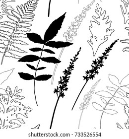 Floral vector seamless pattern with wild flowers, fern leaves and evergreen pine tree branches.