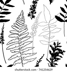 Floral vector seamless pattern with wild flowers, fern leaves and evergreen pine tree branches.