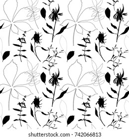 Floral vector seamless pattern with wild flowers, chestnut tree leaves and herbs. .Monochrome plants on white background.