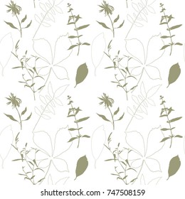 
Floral vector seamless pattern with wild flowers, chestnut tree leaves and herbs. 
Monochrome plants on white background.