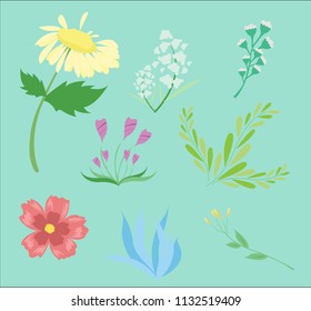 Floral Vector Set Stock Vector Royalty Free Shutterstock