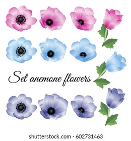 Floral vector set.