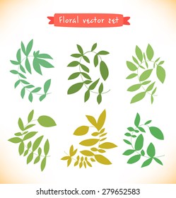 Floral vector set. Collection of drawn branches. Decorative curly elements
