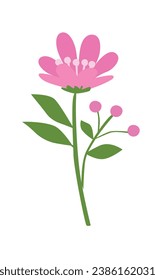 Floral vector set with colorful wildflowers. Spring flower collection. Flat flower set. Flower bloom. Flat vector in cartoon style isolated on white background,
