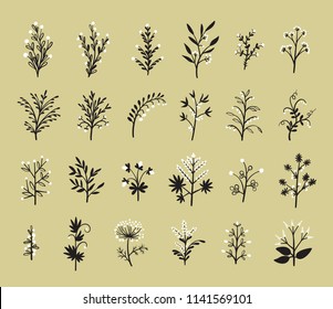 Floral Vector Set of Design Plant Elements. Doodle Branches with Leaves, Flowers and Berries