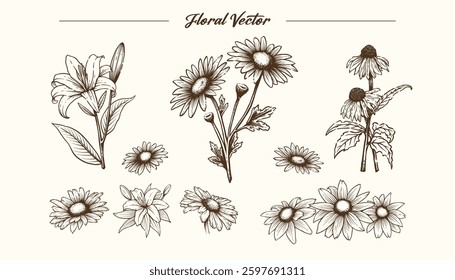 Floral vector set elements in minimalist outline style