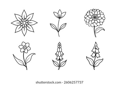 A floral vector set features seamless flower patterns and vintage botanical illustrations with leaf and branch designs