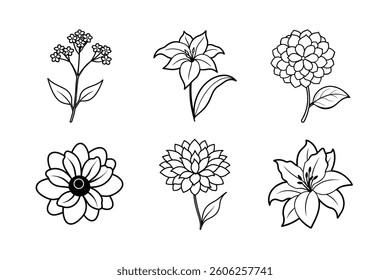 A floral vector set features seamless flower patterns and vintage botanical illustrations with leaf and branch designs