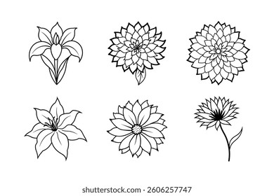 A floral vector set features seamless flower patterns and vintage botanical illustrations with leaf and branch designs