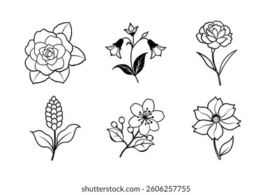 A floral vector set features seamless flower patterns and vintage botanical illustrations with leaf and branch designs
