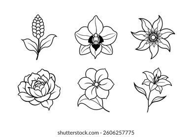 A floral vector set features seamless flower patterns and vintage botanical illustrations with leaf and branch designs