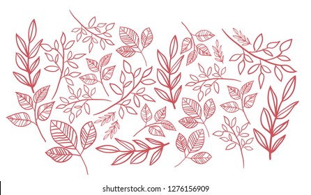 Floral vector. The set of hand drawn vector decorative elements for your design. Leaves, swirls, floral elements, circular frames, borders, dividers. graphic. Nature design elements. 