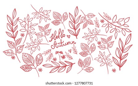 Floral vector. The set of hand drawn vector decorative elements for your design. Leaves, swirls, floral elements, circular frames, borders, dividers. graphic. Nature design elements. 