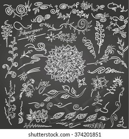 Floral vector set. Hand drawn design on chalkboard background
