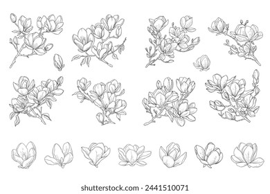 Blumenvektor-Set von Magnolienbaumblumen und blühenden Zweigen, handgezeichnete Zweige, minimalistische botanische Linien-Kunst-Illustration für Einladung und speichern Sie die Datumskarte