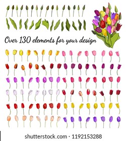 The floral vector set of tulips isolated on white background. For design of invitations, cards, gift boxes, textiles, fabric, wallpaper and more.
