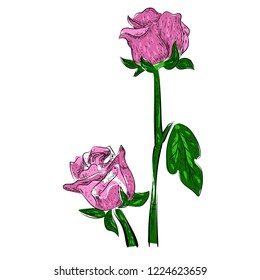 Floral vector spring card composition illustration background wedding birthday , valentine