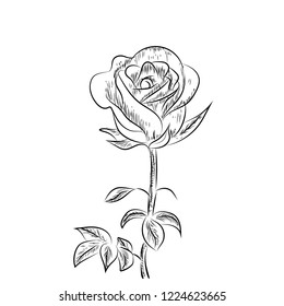 Floral vector spring card composition illustration background wedding birthday , valentine