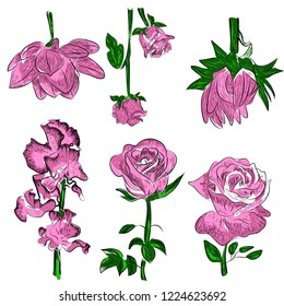 Floral vector spring card composition illustration background wedding birthday , valentine