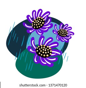 floral vector stylized design formal composition