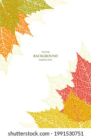Floral vector template with autumn leaves. Plant print for holiday poster, greeting card, cover, banner, invitation. Natural trendy design. Textured background. Botanical art.