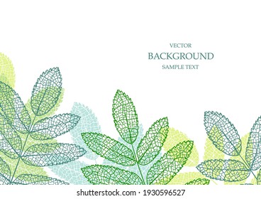 Floral vector template with leaves. Plant print for holiday poster, greeting card, cover, banner, invitation. Natural trendy design. Textured background. Botanical art.