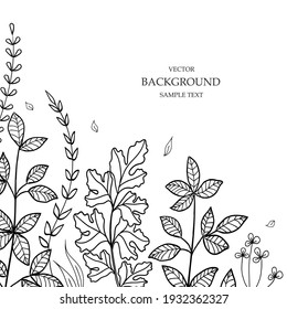 Plantilla vectorial floral con hojas, plantas para tarjeta de saludo. Silhouette de elementos naturales abstractos. Imprimir para publicación de vacaciones, fondo, portada, banner, invitación. Diseño de moda.