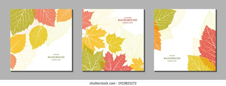 Floral vector templates with autumn leaves. Plant print for holiday posters, greeting cards, covers, banners, invitations. Natural trendy design. Set of textured backgrounds. Botanical art.