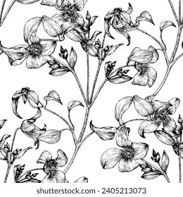 Floral vector vintage seamless pattern flowers of Clematis black and white. Toile art Hand drawn background.Monochrome. Textiles, paper, wallpaper