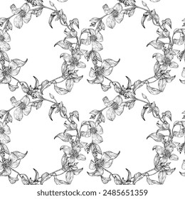 Flores de Vector floral vintage sin patrón de Clematis. Adorno de celda redonda. Dibujado a mano. Fondo para textiles de diseño, papel, decoración de Fondo de pantalla. Blanco y negro