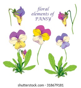 Floral vintage collection elements of pansy,  flower and leaves, vector illustration