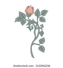 Floral vintage element. Enchanted Vintage Flowers.  Arts and Crafts movement inspired. Vector design element. Isolated on white.