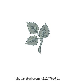 Floral vintage element. Enchanted Vintage Flowers.  Arts and Crafts movement inspired. Vector design element. Isolated on white.