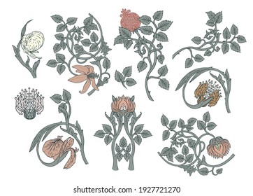 Floral vintage elements. Enchanted Vintage Flowers.  Arts and Crafts movement inspired. Vector design elements. Isolated on white.