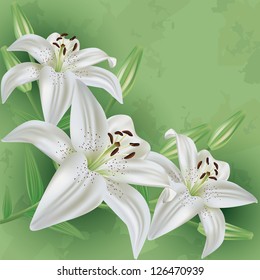 Floral vintage green background with white flower lily. Invitation or greeting card. Vector illustration