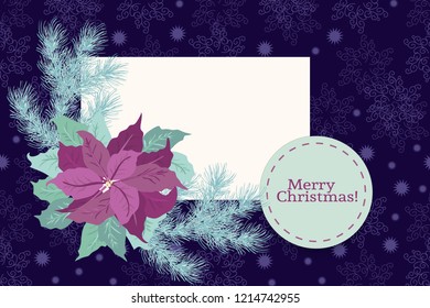 Floral vintage invitation card in poinsettia, Christmas tree twigs. Winter background. Greeting card template. Design artwork for the poster, wedding invitation. Place for tex