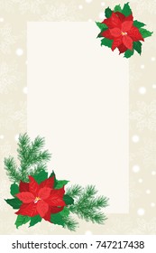 Floral vintage invitation card in poinsettia, Christmas tree twigs. Winter background. Greeting card template. Design artwork for the poster, wedding invitation. Place for text.