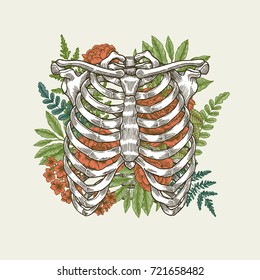 Floral vintage rib cage illustration. Floral anatomy. Vector illustration