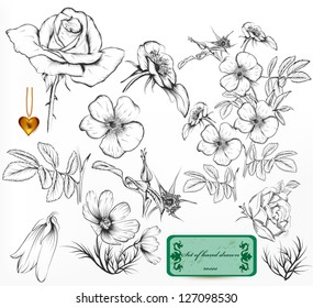 Floral vintage vector