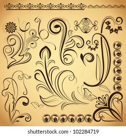 Floral vintage vector design elements.